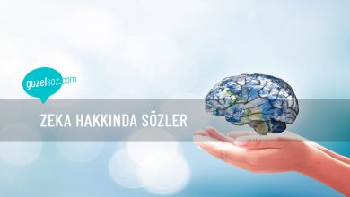 Photo of Zeka Hakkında Sözler